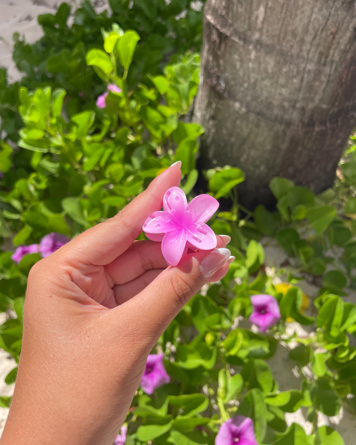 Pink Plumeria Mini Hair Clip