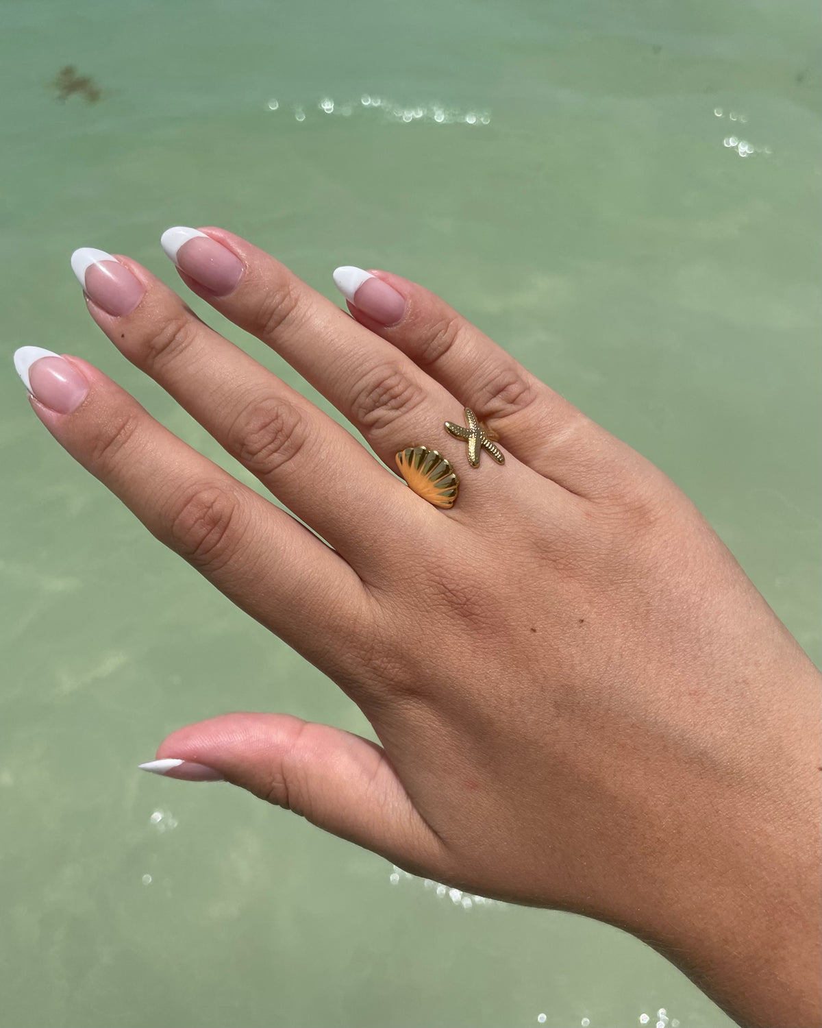 Shelly Ring