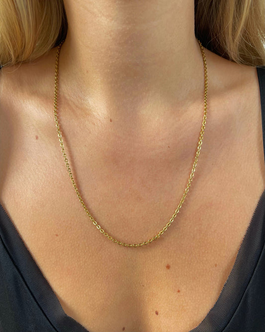 Shelly Necklace
